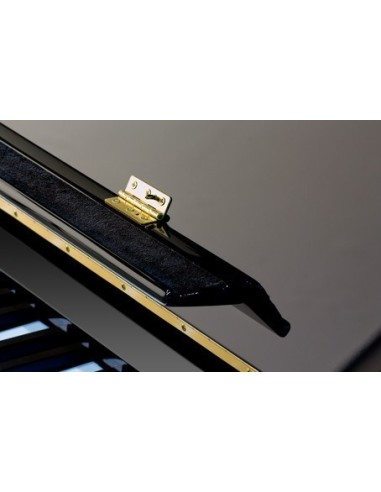 KAWAI K300