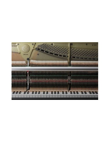 KAWAI K800