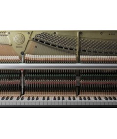 KAWAI K800