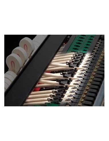 KAWAI GL-10