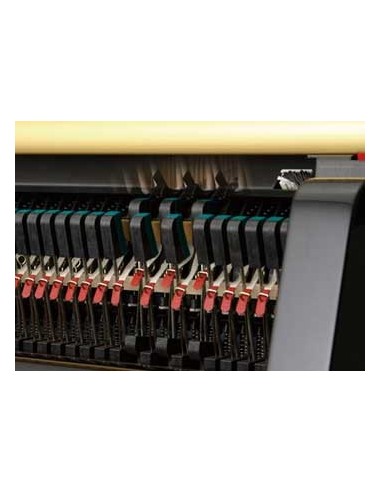 KAWAI GL-10