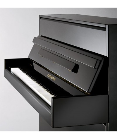 C.BECHSTEIN ACADEMY 114 MODERN