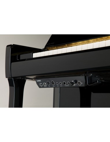 Kawai E200 ATX 3l