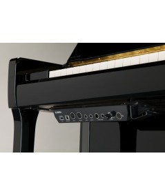 Kawai E200 ATX 3l