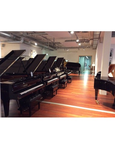 C. BECHSTEIN D-282 | PIANOS QUEUES NEUFS | PREVALET MUSIQUE DIJON