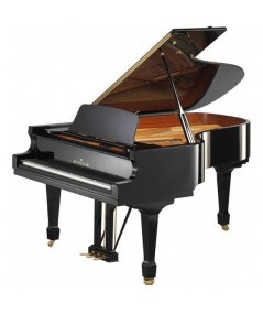 BECHSTEIN B175