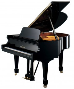 BECHSTEIN B190