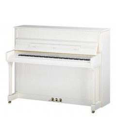 C.BECHSTEIN 118 CONTUR