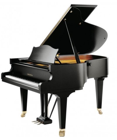 C.BECHSTEIN L 167