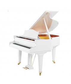 C.BECHSTEIN L 167