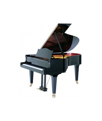 C.BECHSTEIN MP 192