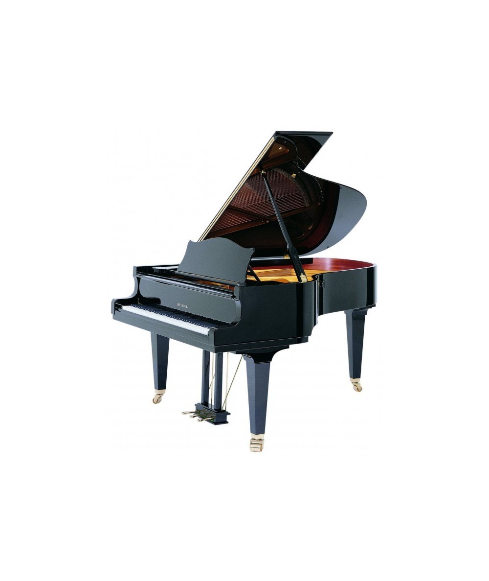 C.BECHSTEIN MP 192