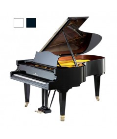 C.BECHSTEIN B 212