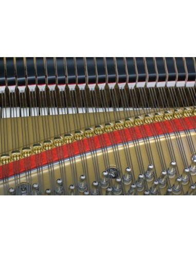 KAWAI GL-30 | PIANOS A QUEUE NEUFS | PREVALET MUSIQUE DIJON