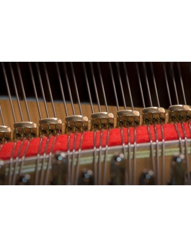 KAWAI GL-30 | PIANOS A QUEUE NEUFS | PREVALET MUSIQUE DIJON