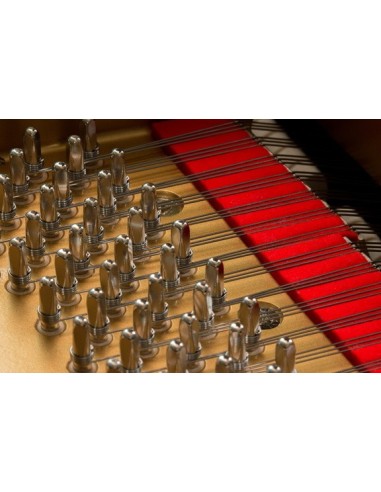 KAWAI GL-30 | PIANOS A QUEUE NEUFS | PREVALET MUSIQUE DIJON