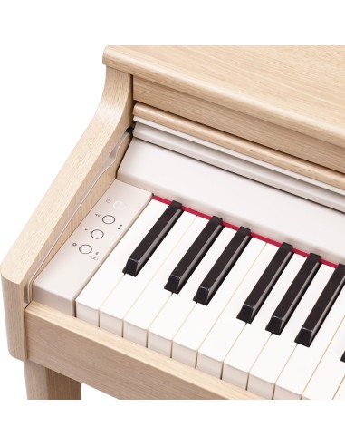 Roland RP-701 en Pack 2 accessoires