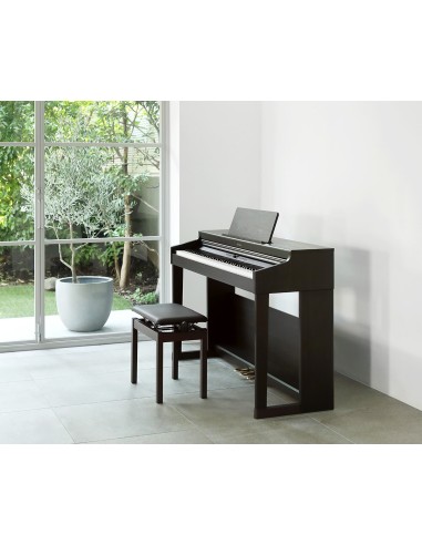 Roland RP-701 en Pack 2 accessoires