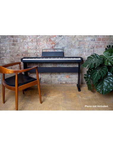 STAND CASIO CDP-S100| PIANOS NUMERIQUES NEUFS | PREVALET MUSIQUE DIJON