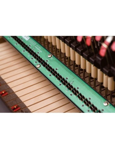 KAWAI K300