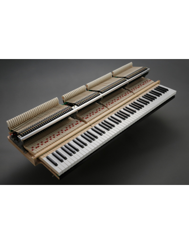 Piano 1/4 de queue Kawai GL-10 ATX4 avec système silencieux - Prévalet Musique