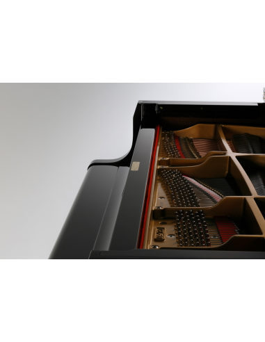 Piano 1/4 de queue Kawai GL-10 ATX4 avec système silencieux - Prévalet Musique