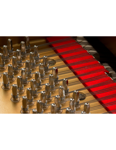 Piano 1/4 de queue Kawai GL-10 ATX4 avec système silencieux - Prévalet Musique