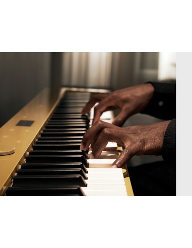 Piano numérique Casio Privia PX-S7000 - Prévalet Musique