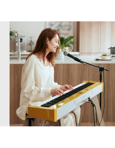 Piano numérique Casio Privia PX-S7000 - Prévalet Musique