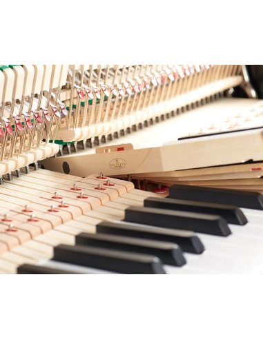 Piano Fridolin by Schimmel F 116 Tradition - Prévalet Musique