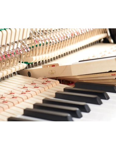 Piano Fridolin by Schimmel F 123 Tradition - Prévalet Musique