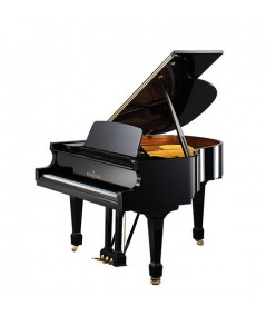 BECHSTEIN B160