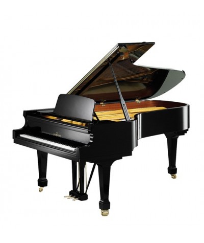 C.BECHSTEIN Academy A-228