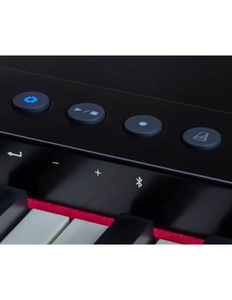 Piano clavier Roland GO-88PX - Prévalet Musique