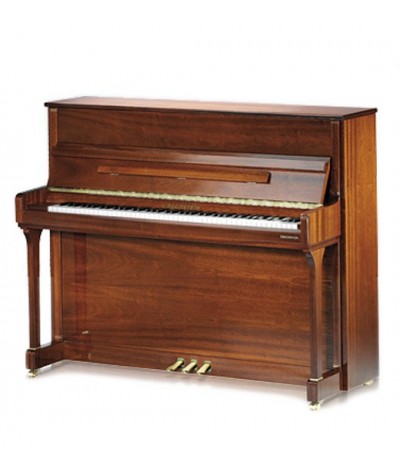 C.BECHSTEIN 118 CONTUR