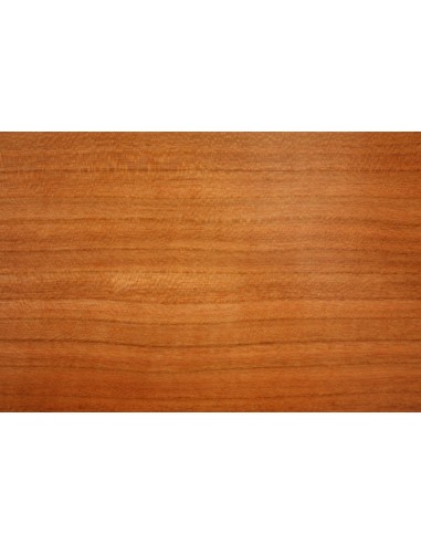 C.BECHSTEIN L 167