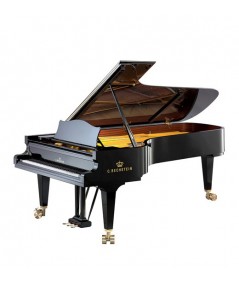 C. BECHSTEIN D 282