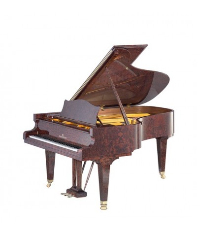 C.BECHSTEIN B 212