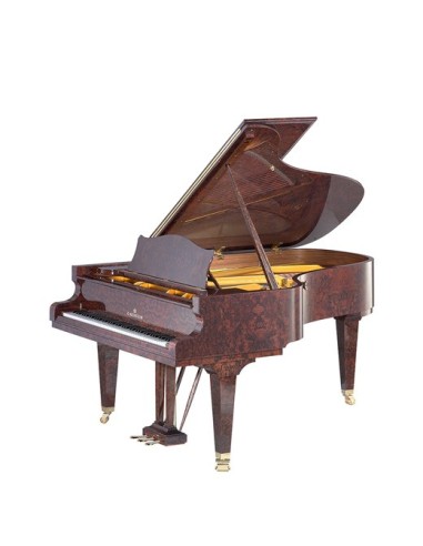 C.BECHSTEIN B 212
