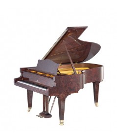 C.BECHSTEIN B 212