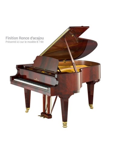 C.BECHSTEIN B 212