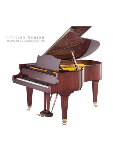 C.BECHSTEIN C 234