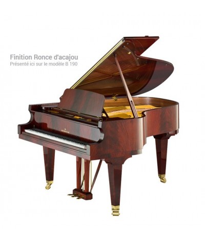 C.BECHSTEIN C234