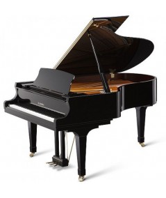 KAWAI GX-5